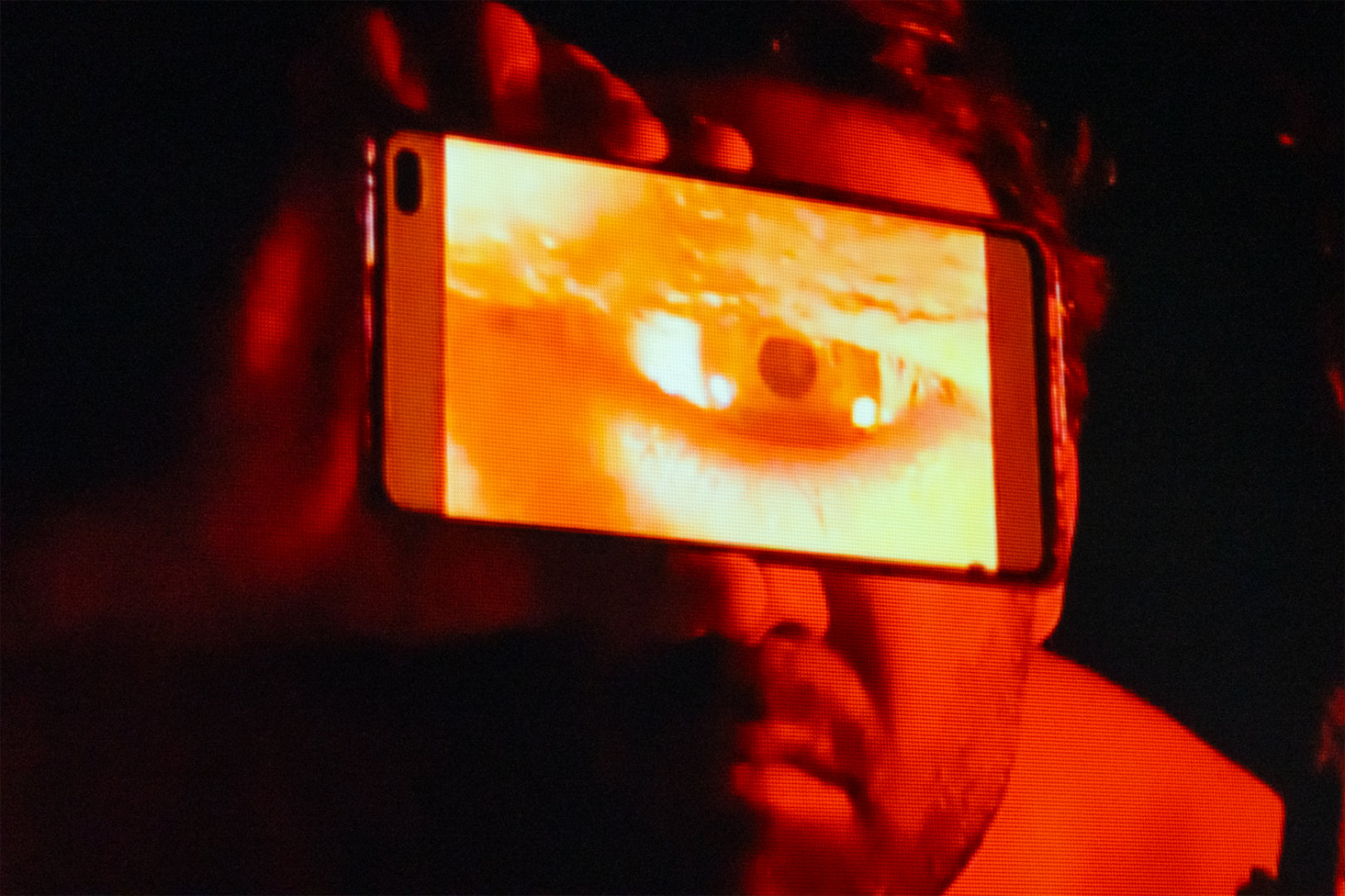 Quimeras e Odisseias - © Patrick Esteves