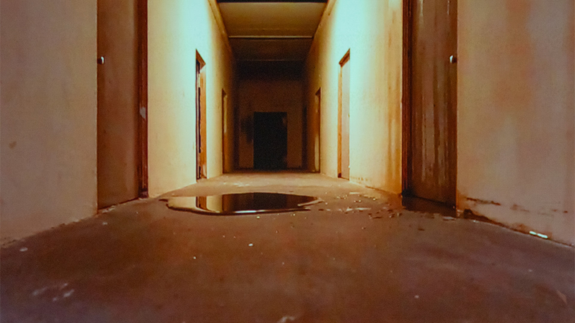 Quimeras e Odisseias - © Patrick Esteves