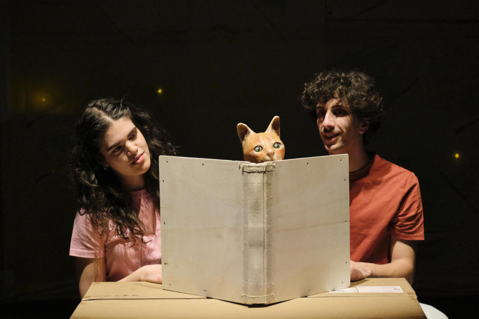 Outa Vez Miau III - ©Susana Neves